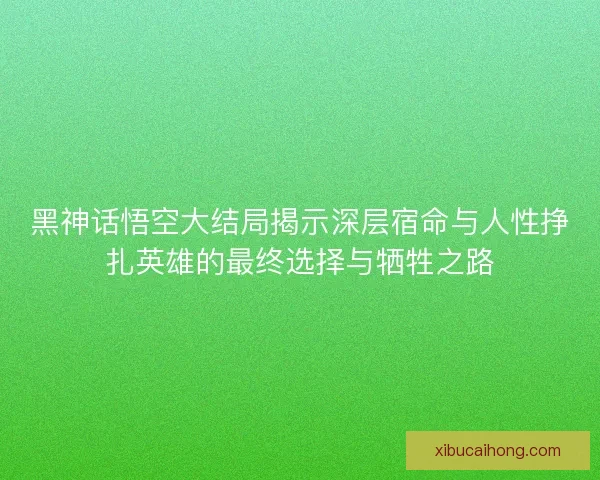 黑神话悟空大结局揭示深层宿命与人性挣扎英雄的最终选择与牺牲之路